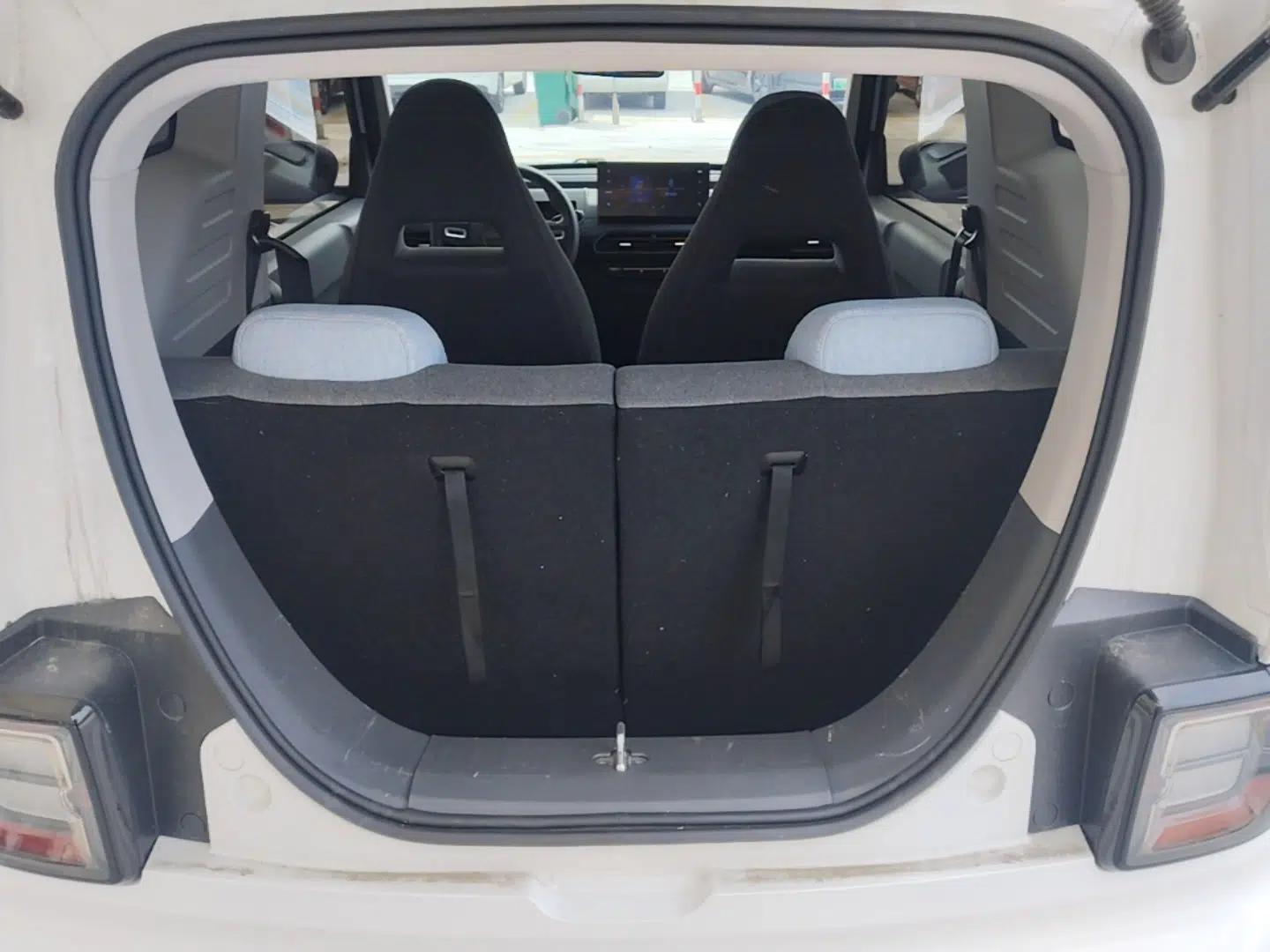 Geely Galaxy Panda 2024 Panda Mini 200km Endurance Bear — миниатюра 22