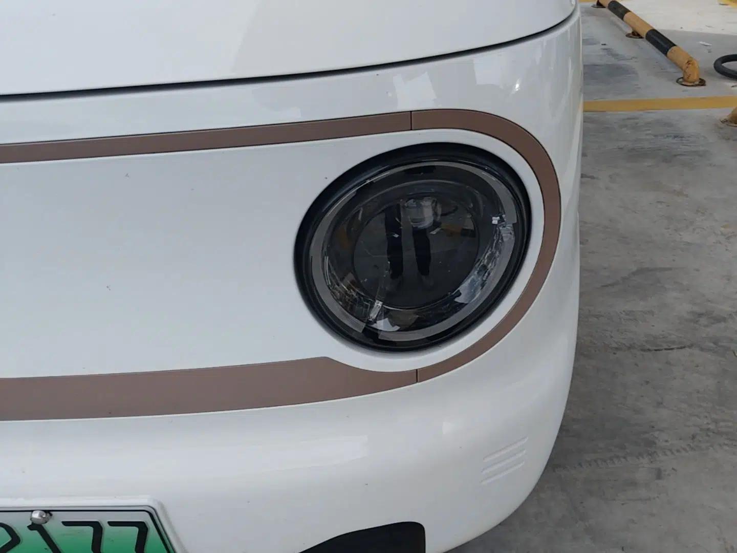 Geely Galaxy Panda 2024 Panda Mini 200km Endurance Bear — миниатюра 8