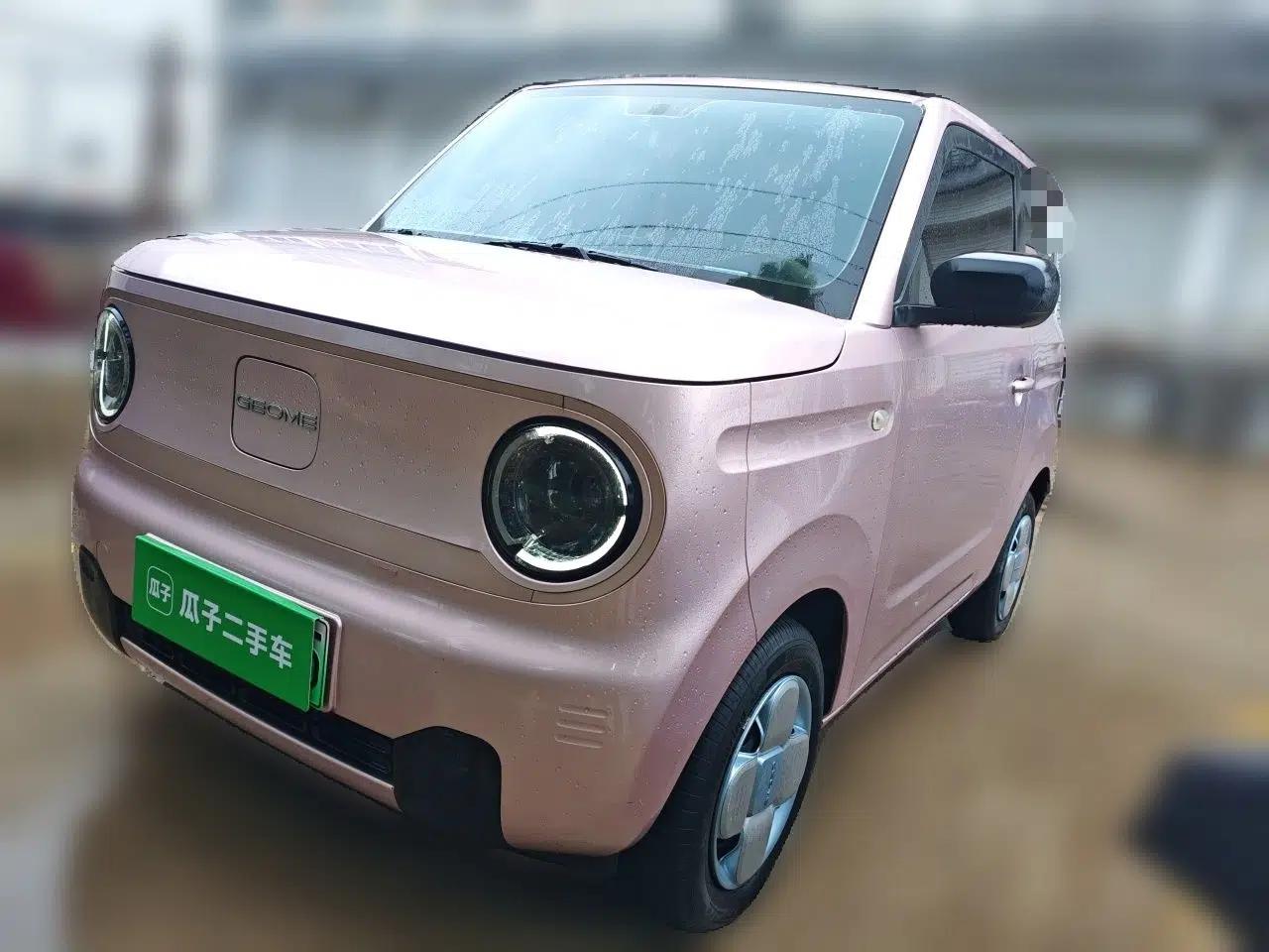 Geely Galaxy Panda 2024 Panda Mini 200km Endurance Bear — миниатюра 1