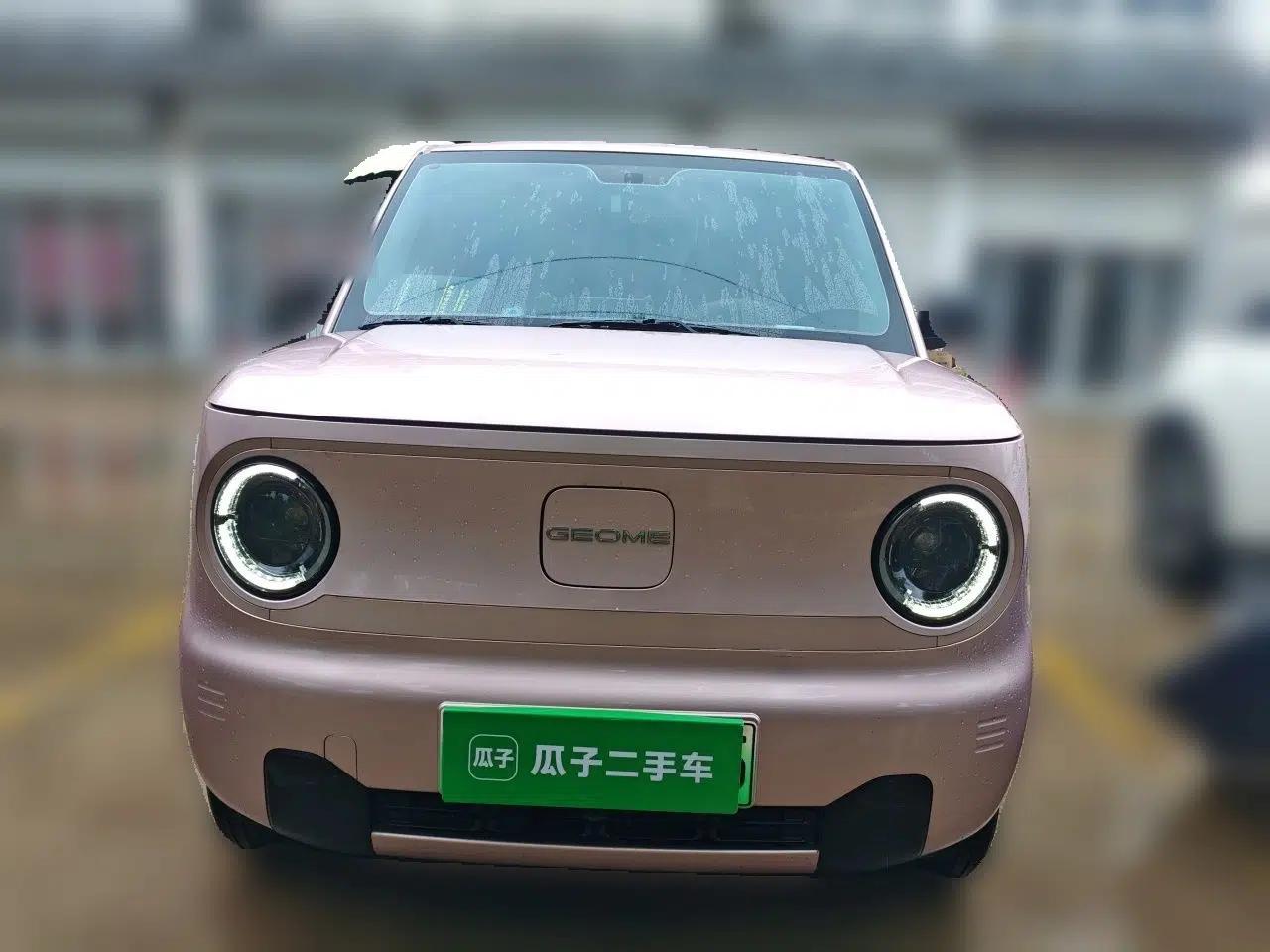Geely Galaxy Panda 2024 Panda Mini 200km Endurance Bear — миниатюра 2