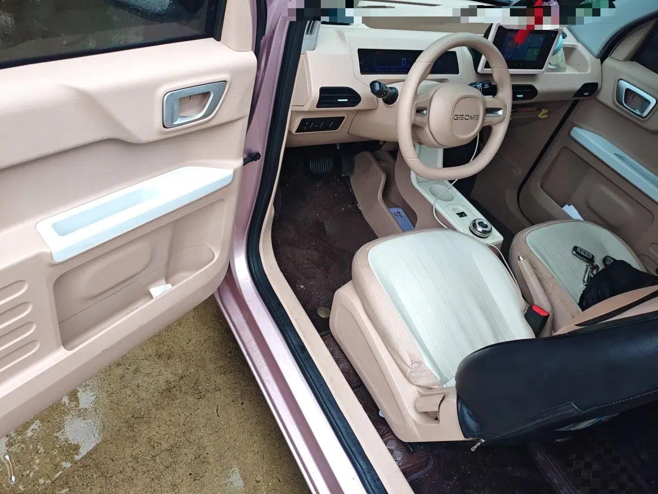 Geely Galaxy Panda 2024 Panda Mini 200km Endurance Bear — миниатюра 16