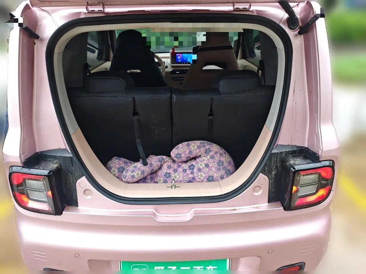 Geely Galaxy Panda 2024 Panda Mini 200km Endurance Bear — миниатюра 19