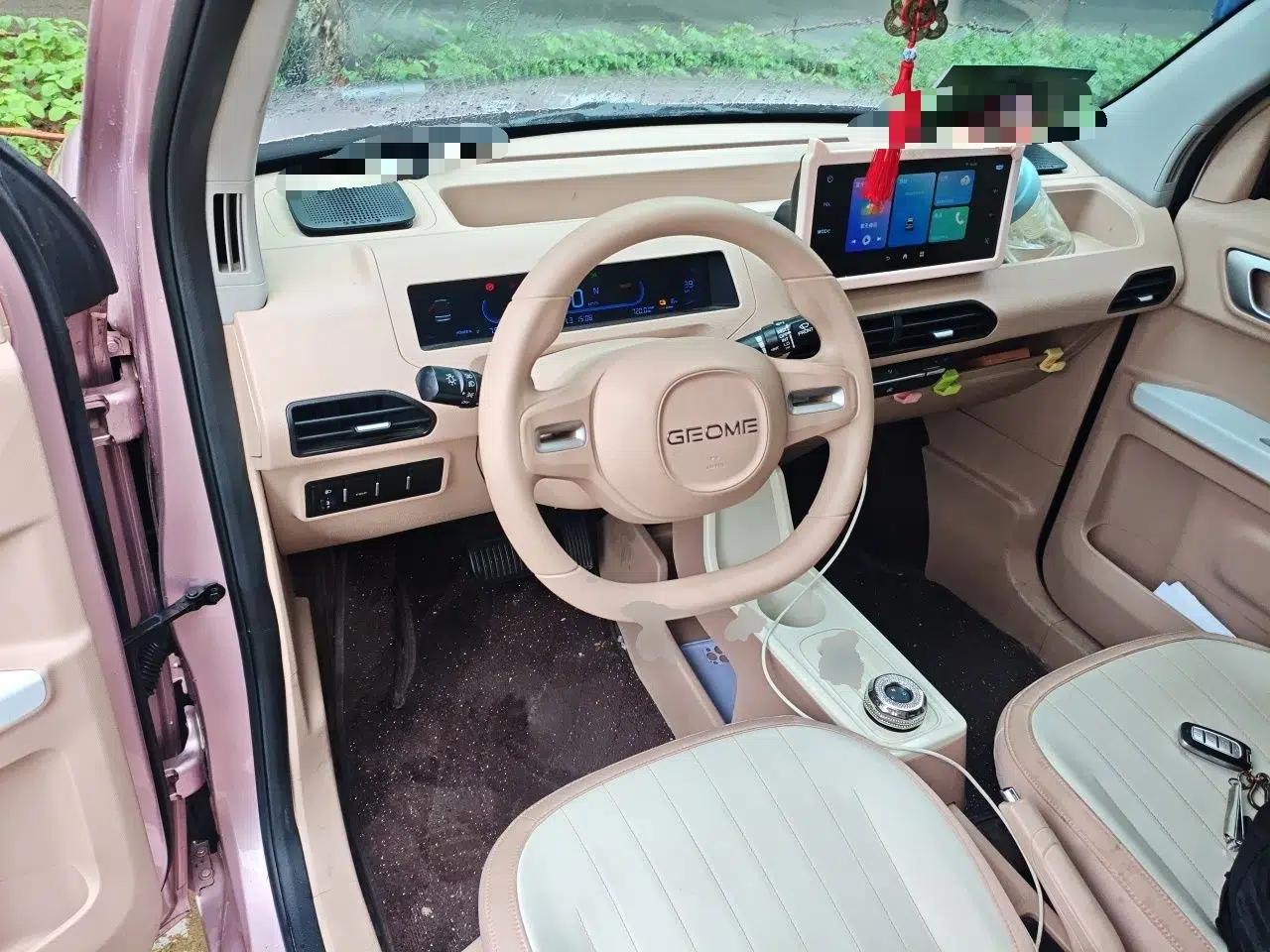 Geely Galaxy Panda 2024 Panda Mini 200km Endurance Bear — миниатюра 9
