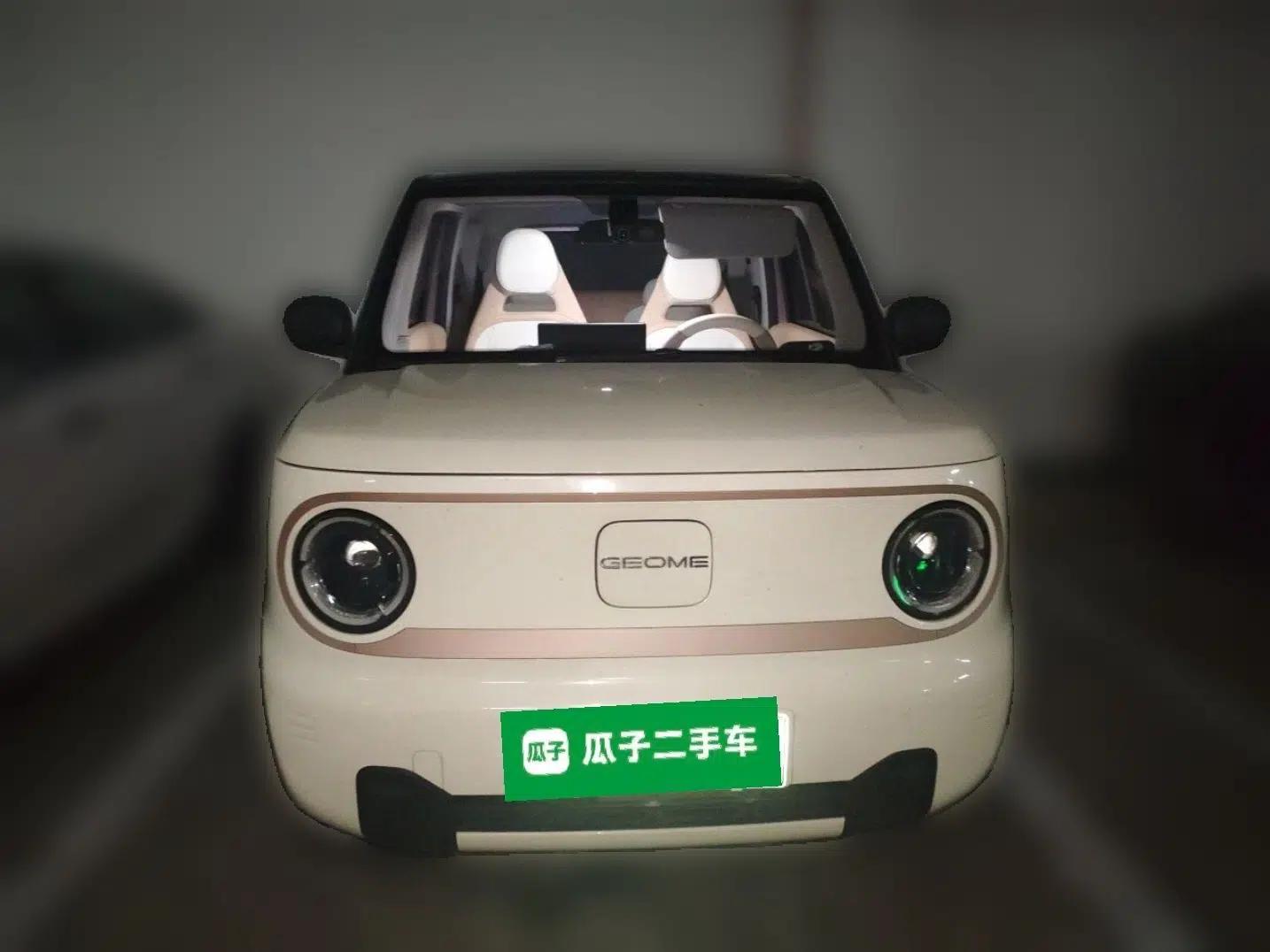 Geely Galaxy Panda 2024 Panda Mini 200km Endurance Bear — миниатюра 2