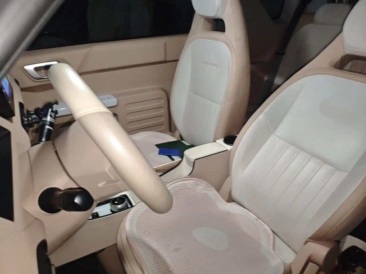 Geely Galaxy Panda 2024 Panda Mini 200km Endurance Bear — миниатюра 15