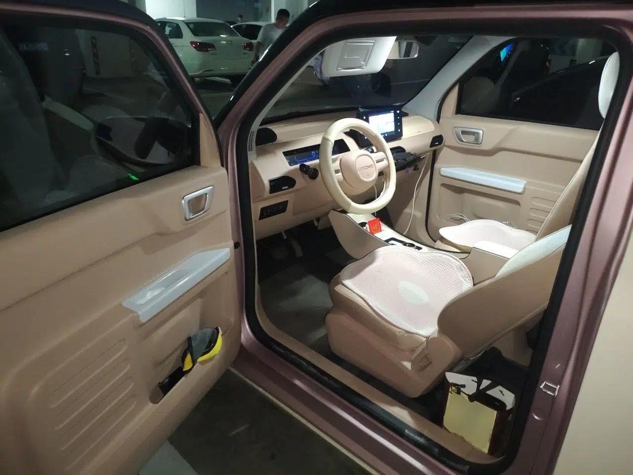 Geely Galaxy Panda 2024 Panda Mini 200km Endurance Bear — миниатюра 16