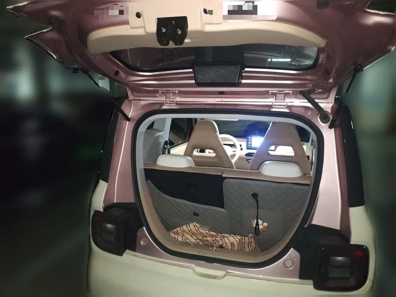 Geely Galaxy Panda 2024 Panda Mini 200km Endurance Bear — миниатюра 19