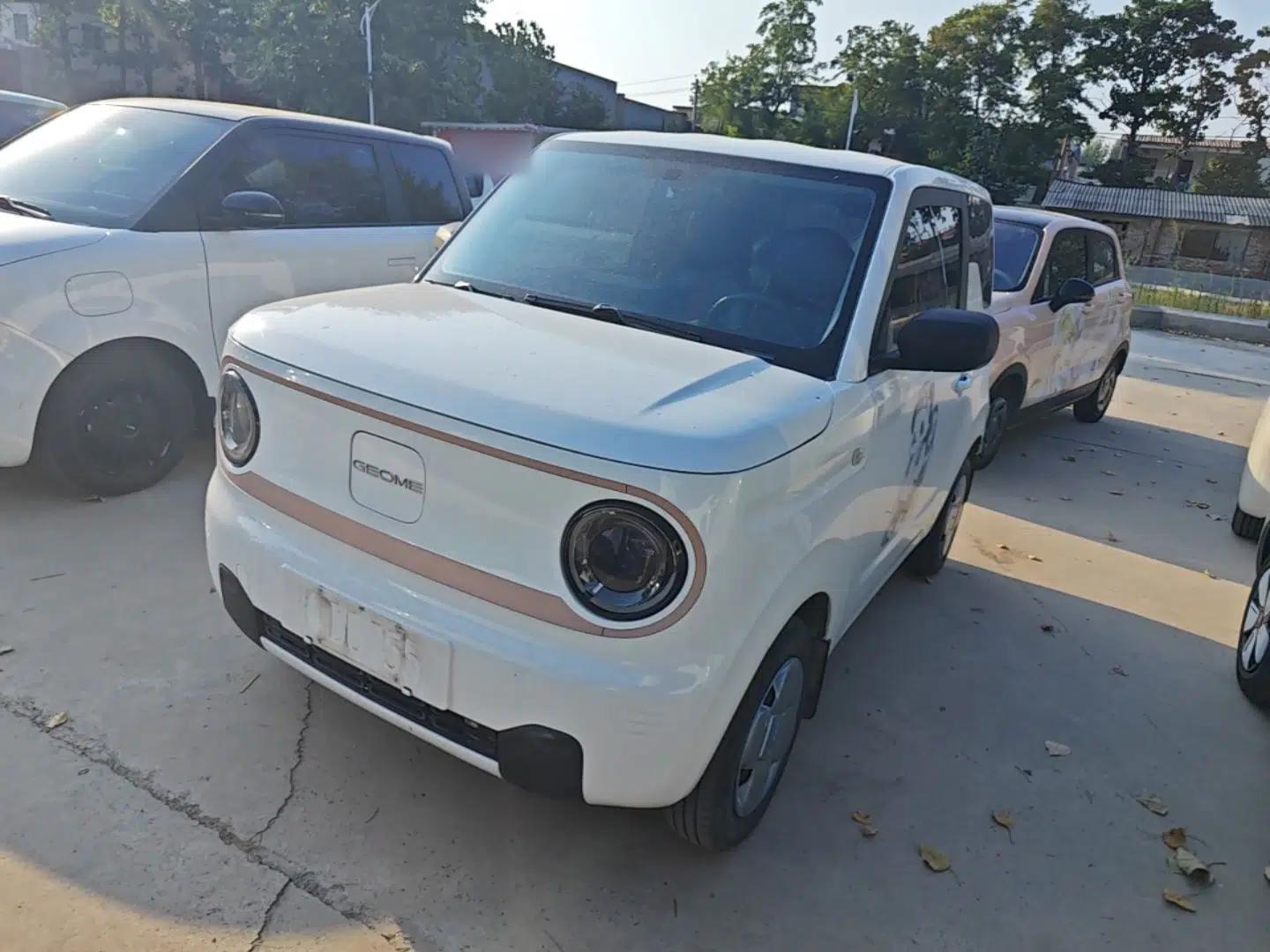 Geely Galaxy Panda 2023 Panda Mini 200km Endurance Bear — миниатюра 1