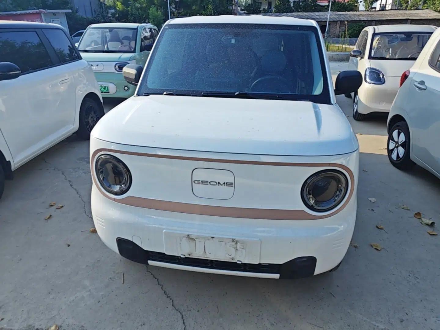 Geely Galaxy Panda 2023 Panda Mini 200km Endurance Bear — миниатюра 2