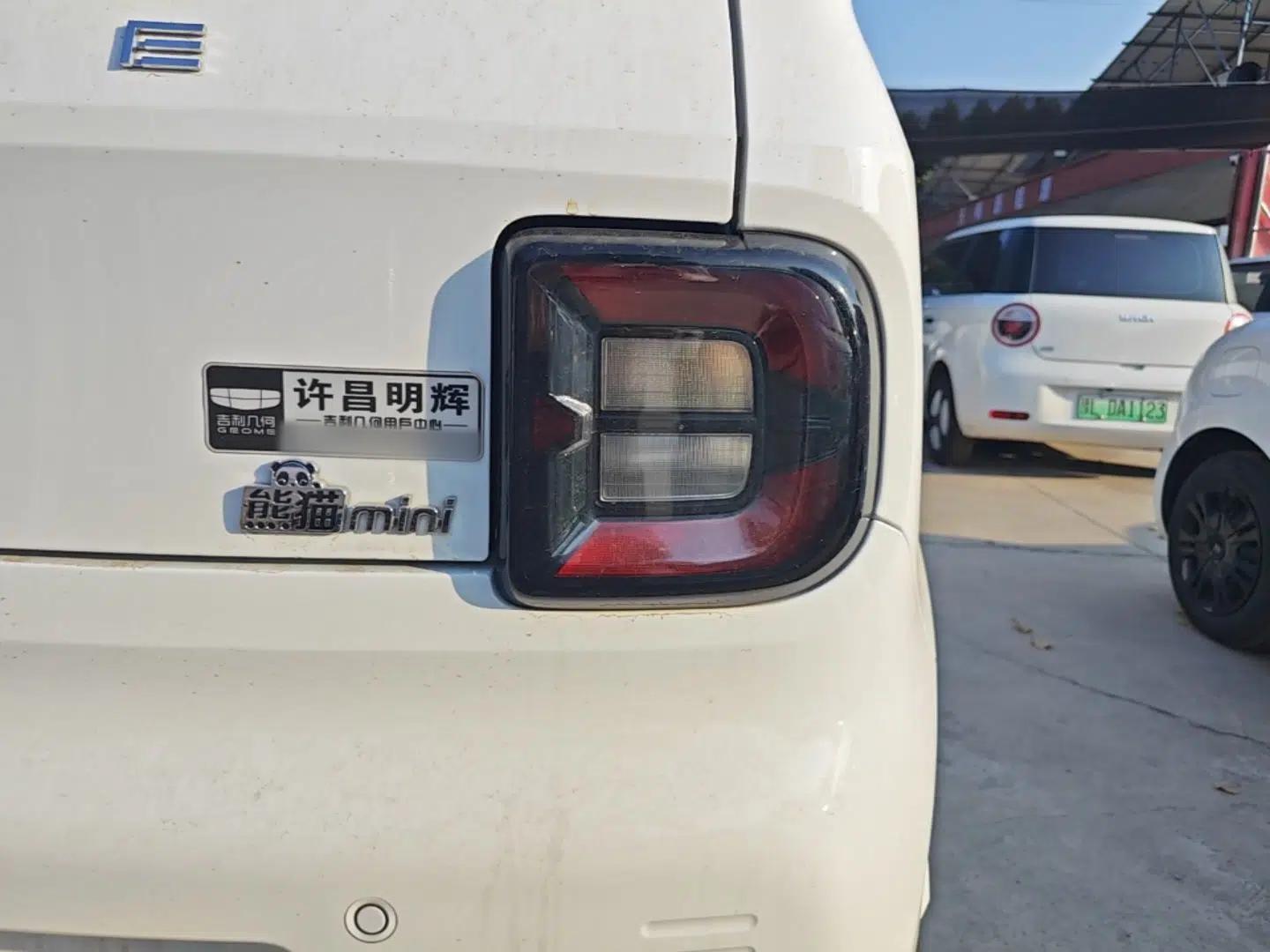 Geely Galaxy Panda 2023 Panda Mini 200km Endurance Bear — миниатюра 9