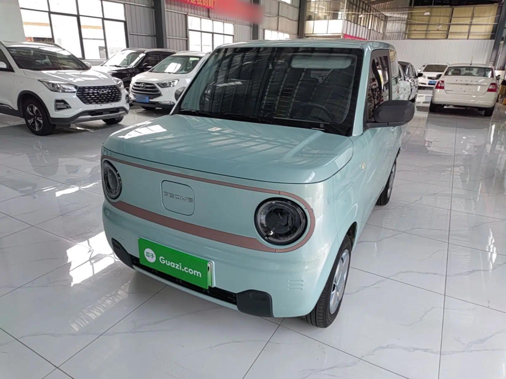 Geely Galaxy Panda 2024 Panda Mini 200km Endurance Bear — миниатюра 1