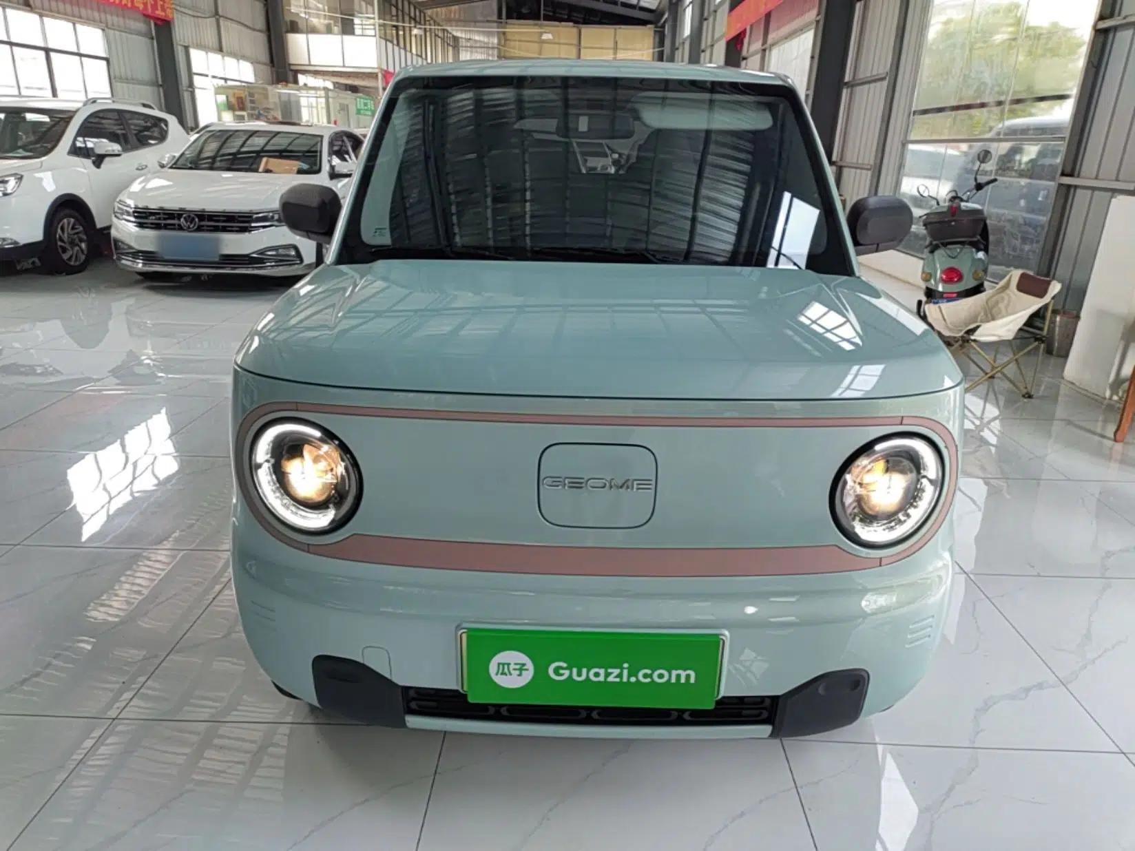 Geely Galaxy Panda 2024 Panda Mini 200km Endurance Bear — миниатюра 2