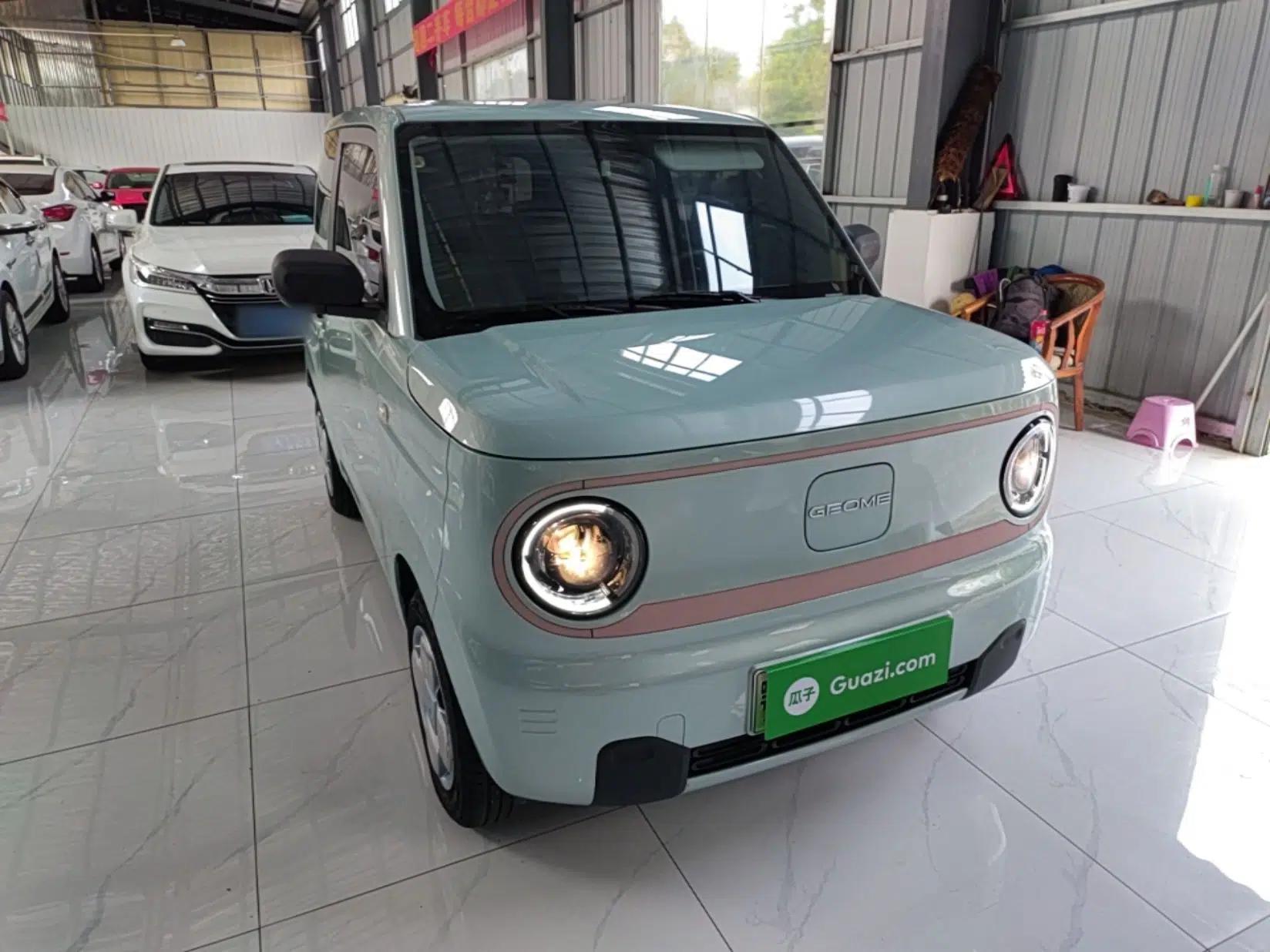 Geely Galaxy Panda 2024 Panda Mini 200km Endurance Bear — миниатюра 3