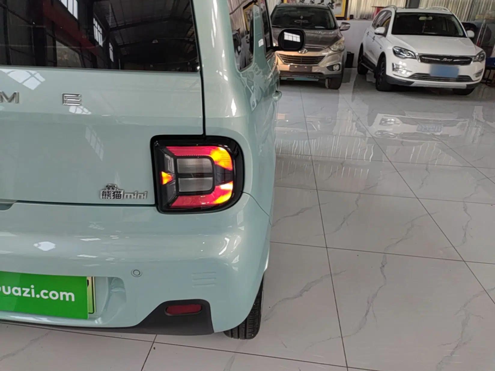 Geely Galaxy Panda 2024 Panda Mini 200km Endurance Bear — миниатюра 9