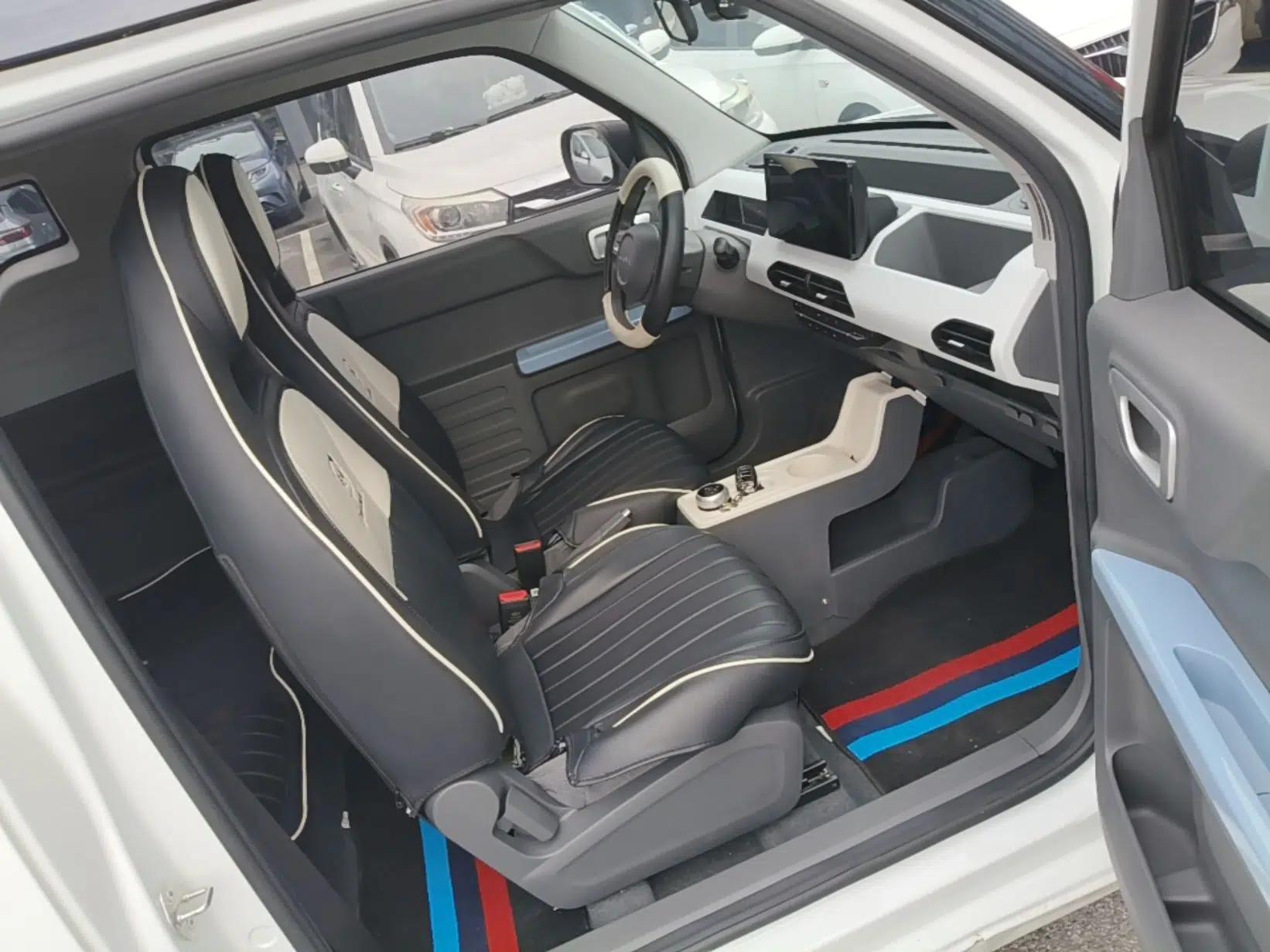 Geely Galaxy Panda 2024 Panda Mini 200km Endurance Bear — миниатюра 19
