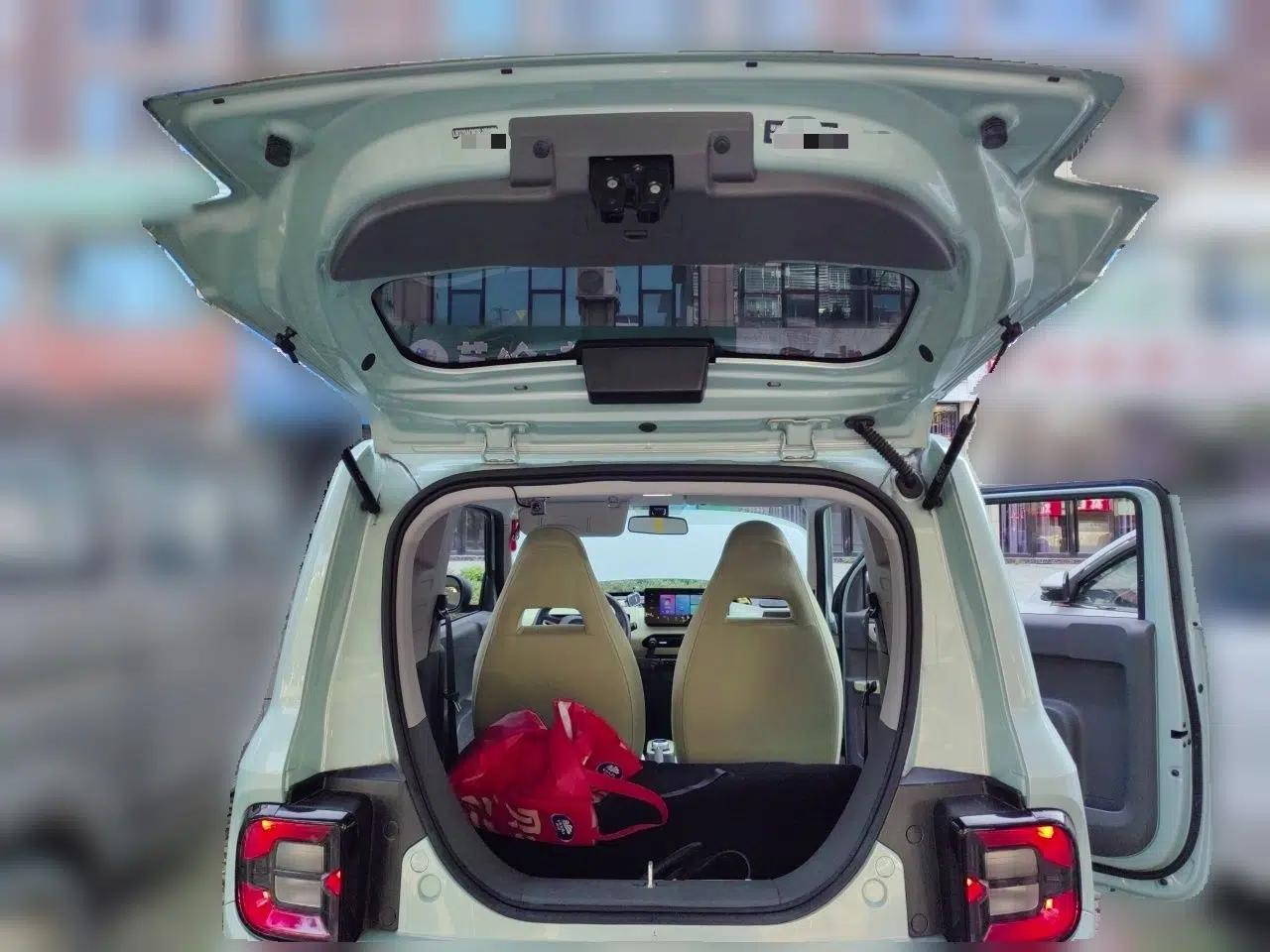Geely Galaxy Panda 2023 Panda Mini 200km Endurance Bear — миниатюра 19