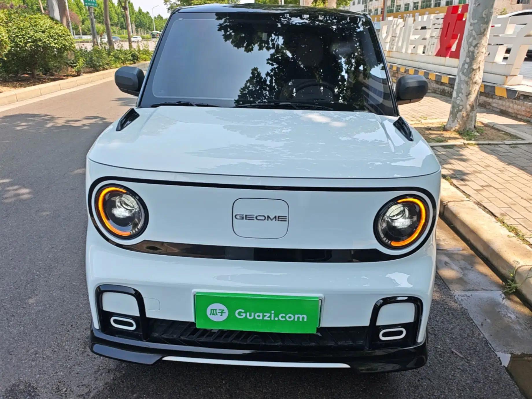 Geely Galaxy Panda 2025 210km Panda Kart — миниатюра 2