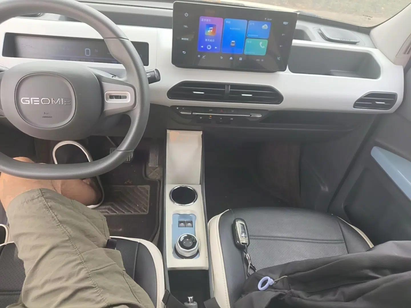 Geely Galaxy Panda 2024 Panda Mini 200km Endurance Bear — миниатюра 12