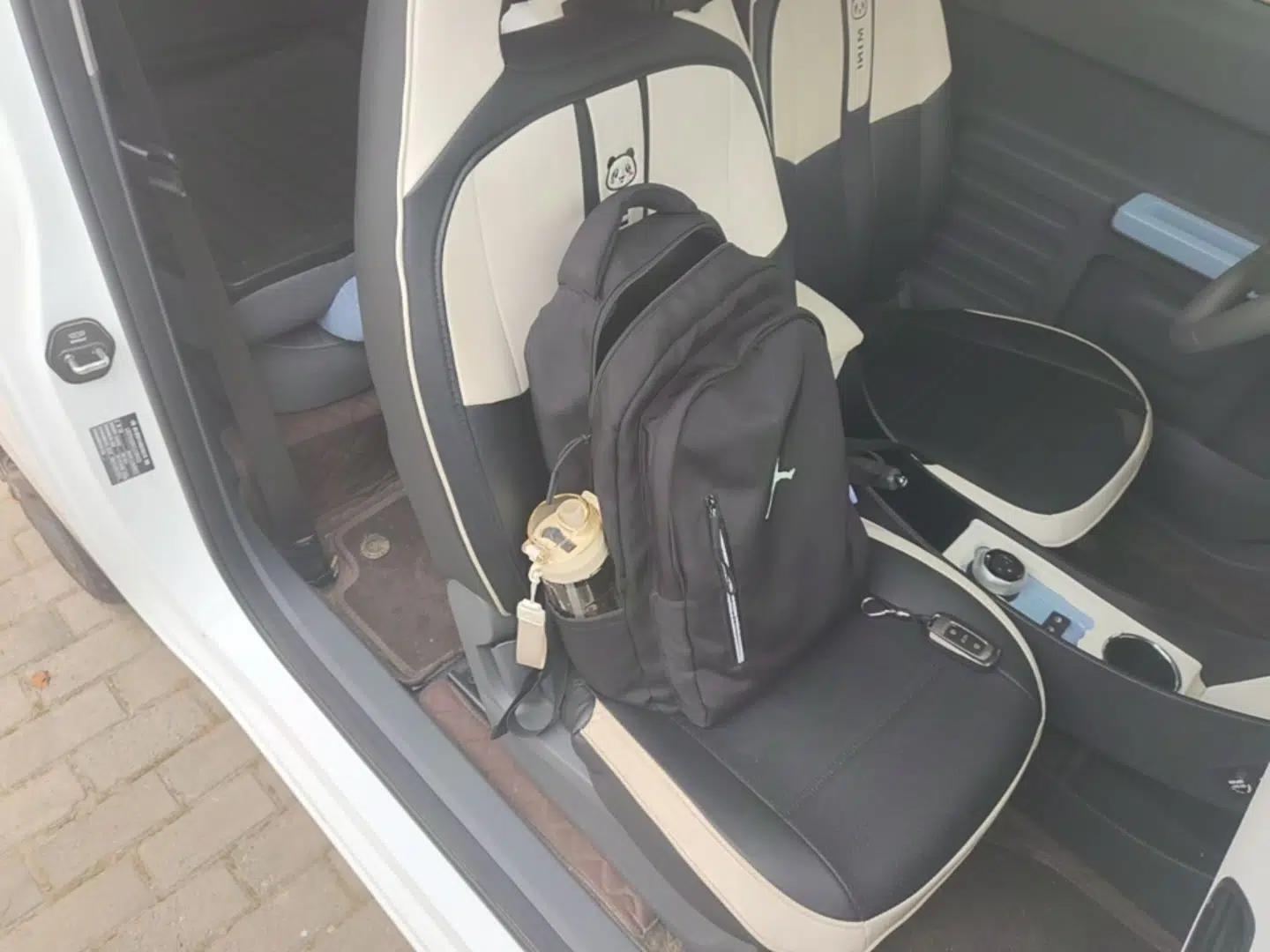 Geely Galaxy Panda 2024 Panda Mini 200km Endurance Bear — миниатюра 19