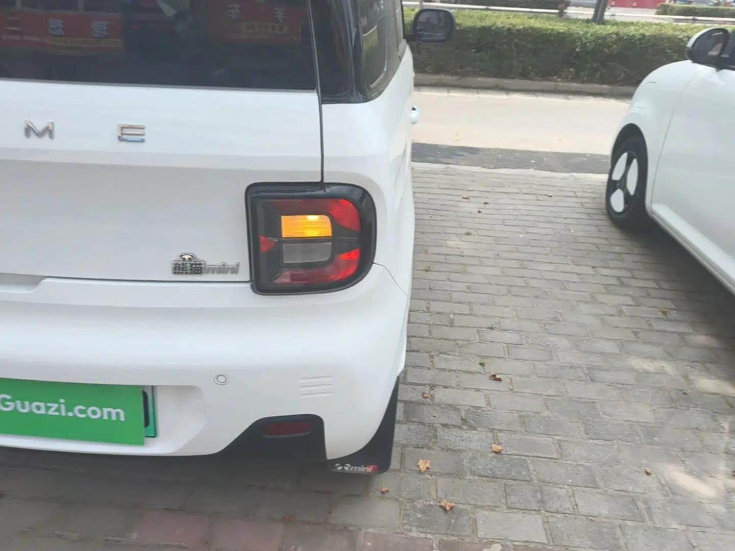 Geely Galaxy Panda 2024 Panda Mini 200km Endurance Bear — миниатюра 9