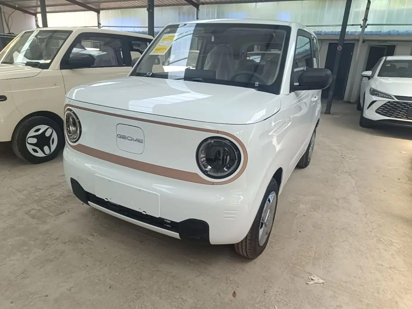 Geely Galaxy Panda 2024 Panda Mini 200km Endurance Bear — миниатюра 1