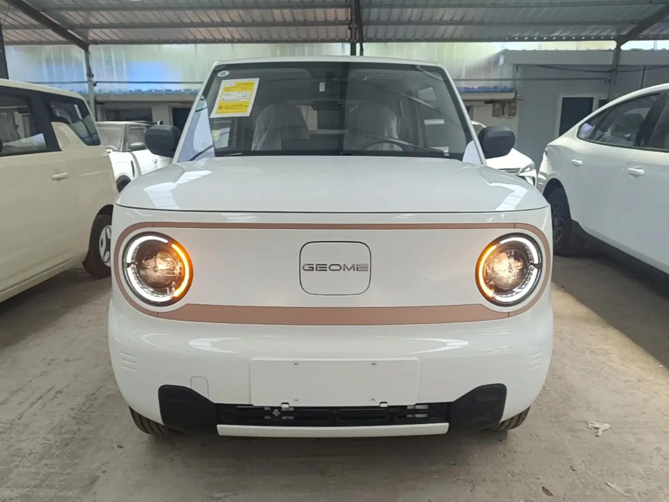 Geely Galaxy Panda 2024 Panda Mini 200km Endurance Bear — миниатюра 2