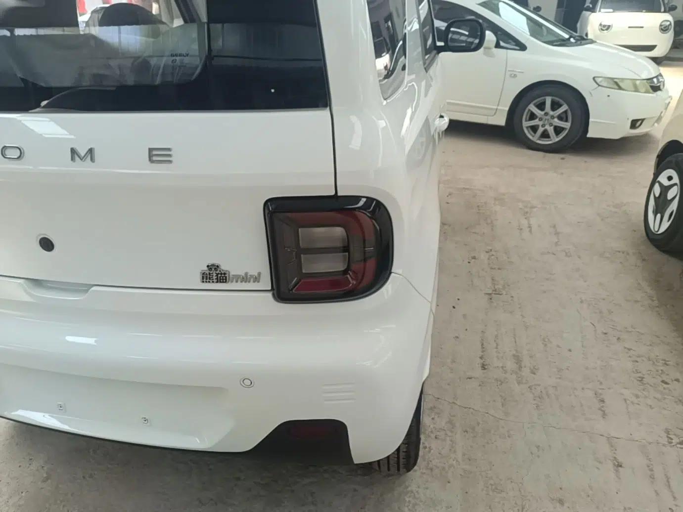 Geely Galaxy Panda 2024 Panda Mini 200km Endurance Bear — миниатюра 14
