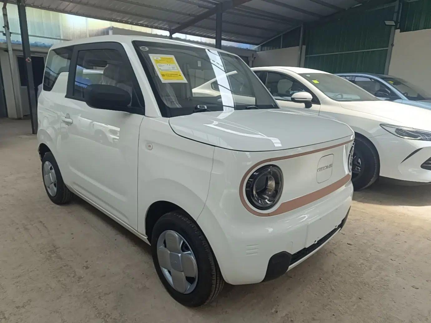 Geely Galaxy Panda 2024 Panda Mini 200km Endurance Bear — миниатюра 3