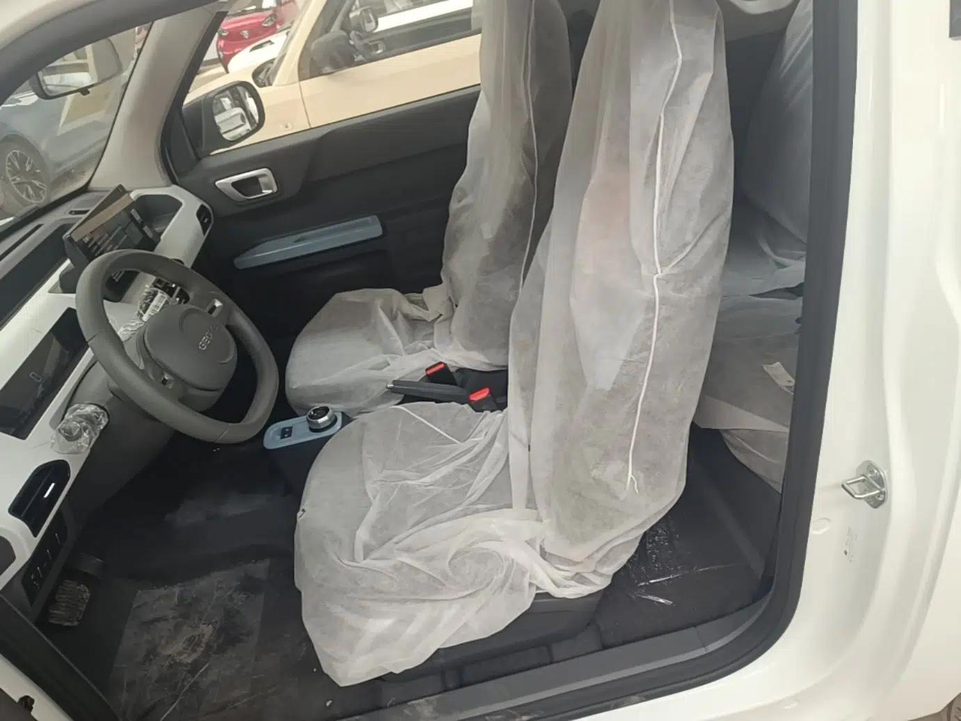 Geely Galaxy Panda 2024 Panda Mini 200km Endurance Bear — миниатюра 22