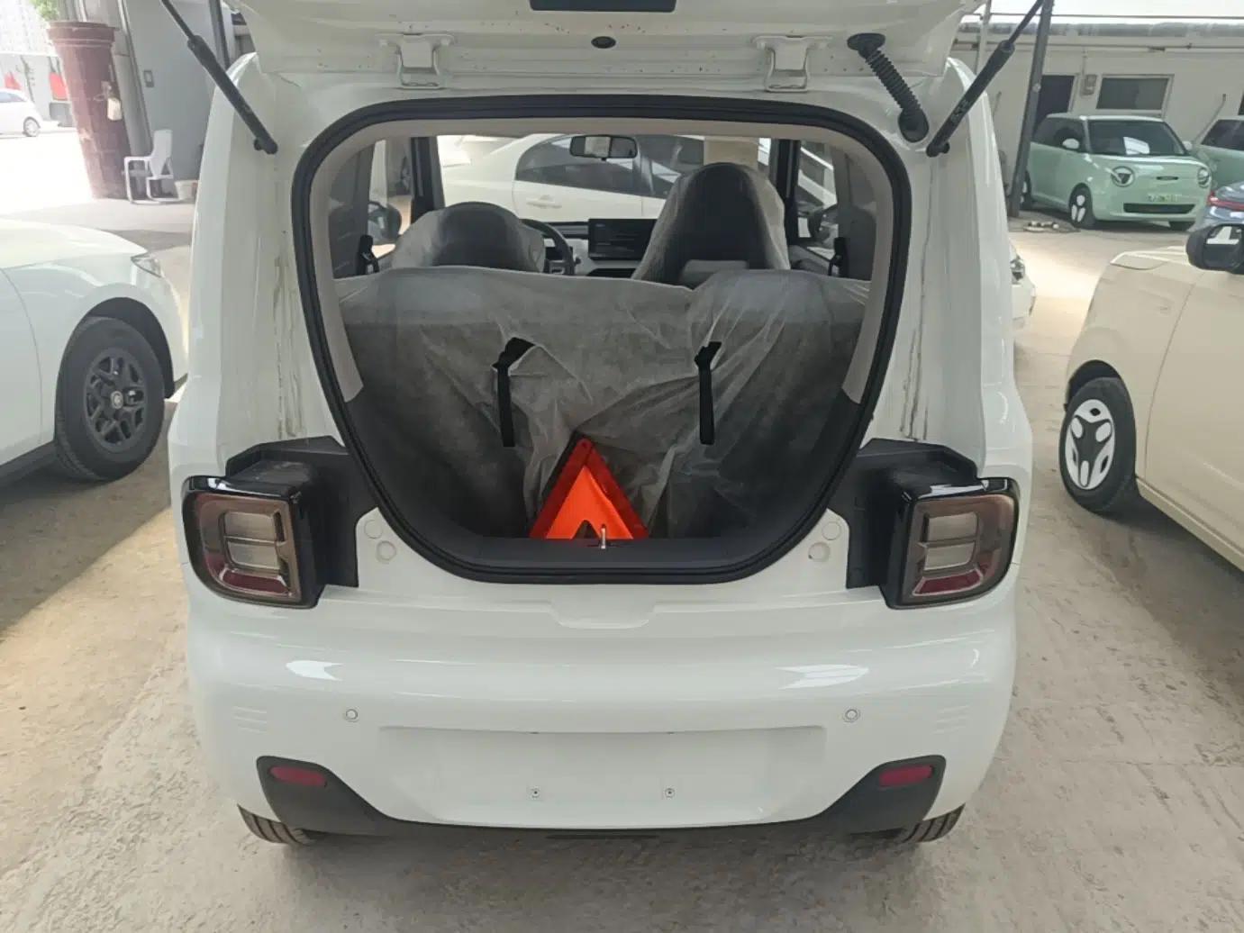 Geely Galaxy Panda 2024 Panda Mini 200km Endurance Bear — миниатюра 27