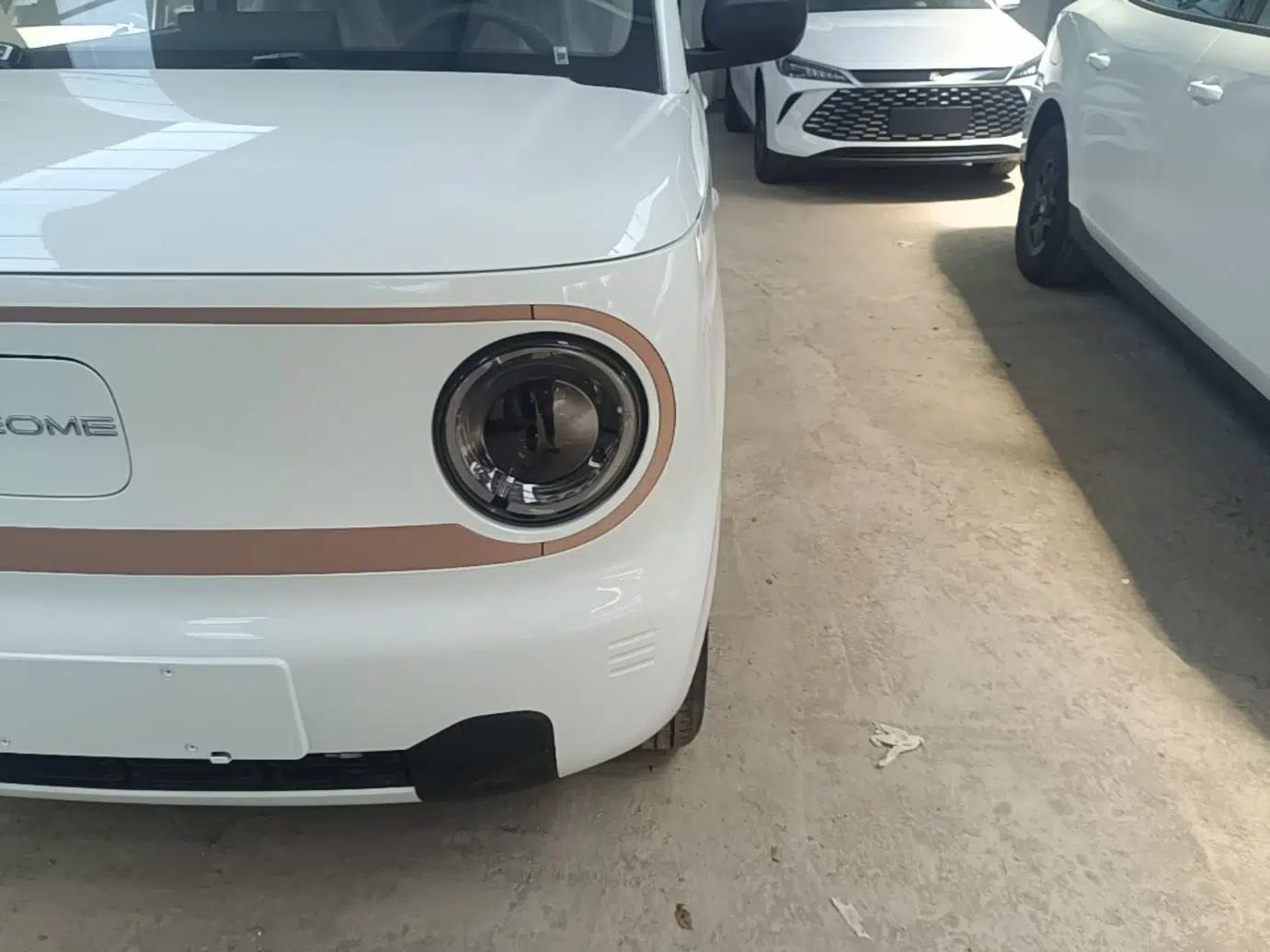 Geely Galaxy Panda 2024 Panda Mini 200km Endurance Bear — миниатюра 8