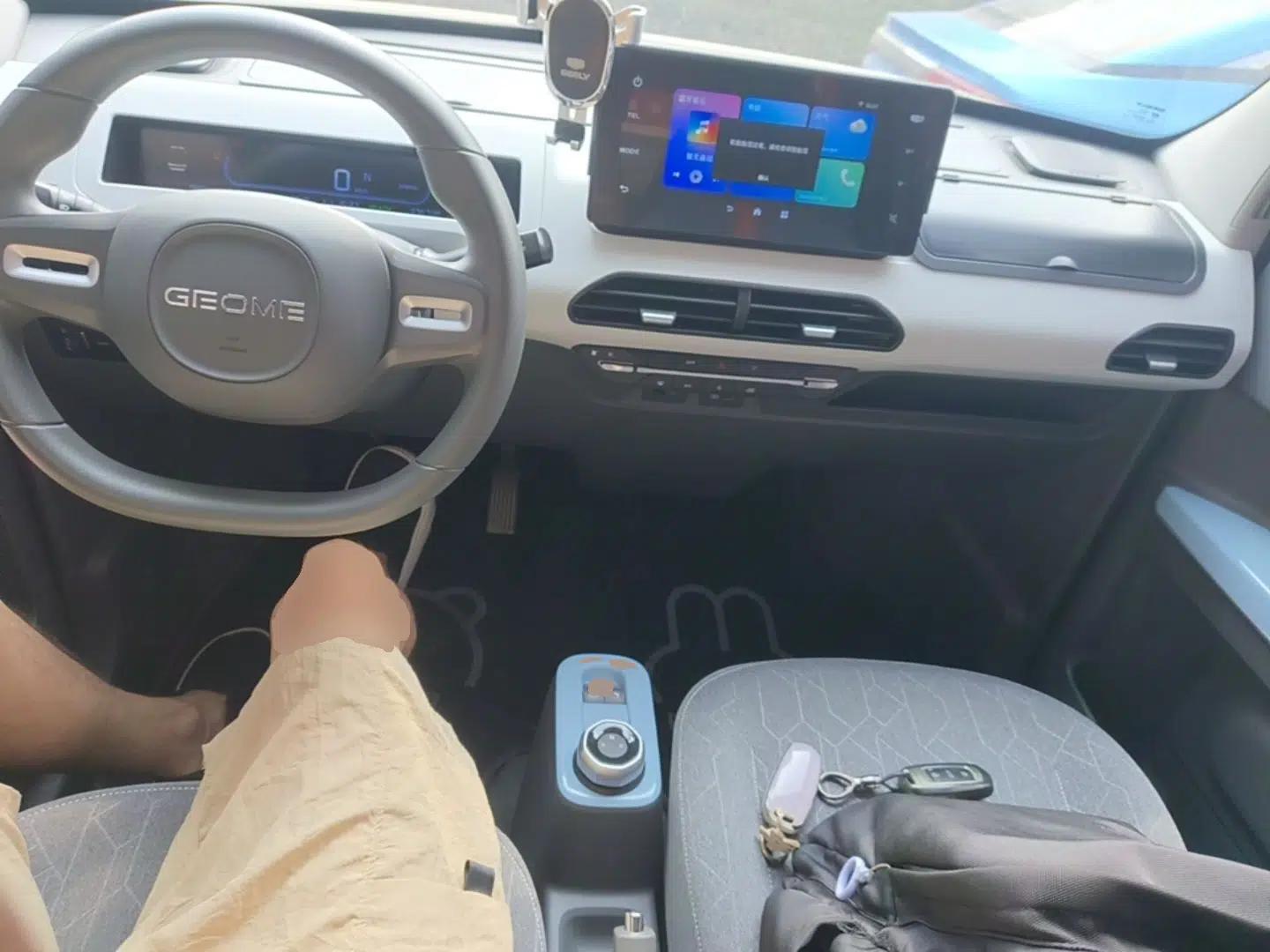 Geely Galaxy Panda 2024 Panda Mini 200km Endurance Bear — миниатюра 12
