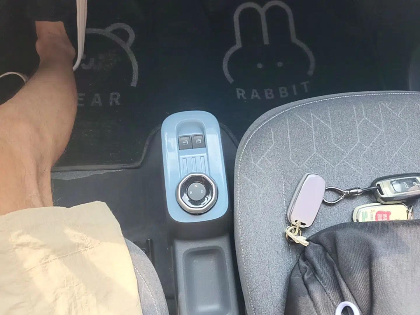 Geely Galaxy Panda 2024 Panda Mini 200km Endurance Bear — миниатюра 16