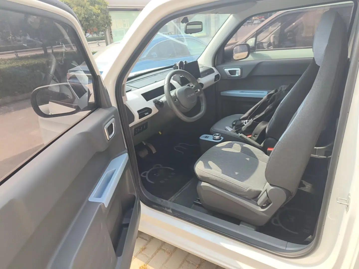 Geely Galaxy Panda 2024 Panda Mini 200km Endurance Bear — миниатюра 18