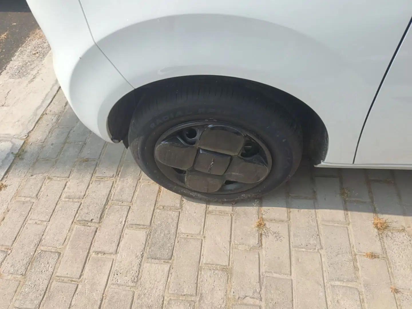 Geely Galaxy Panda 2024 Panda Mini 200km Endurance Bear — миниатюра 10