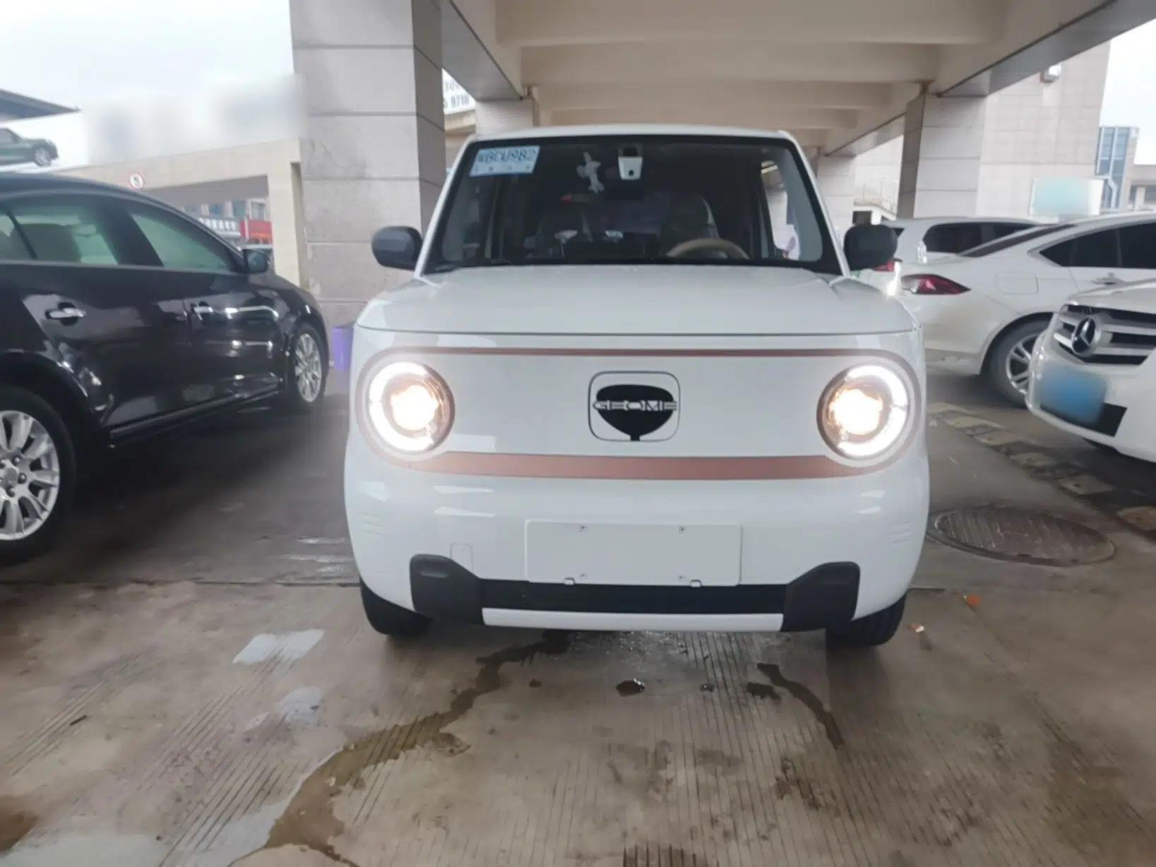 Geely Galaxy Panda 2024 Panda Mini 200km Endurance Bear — миниатюра 2