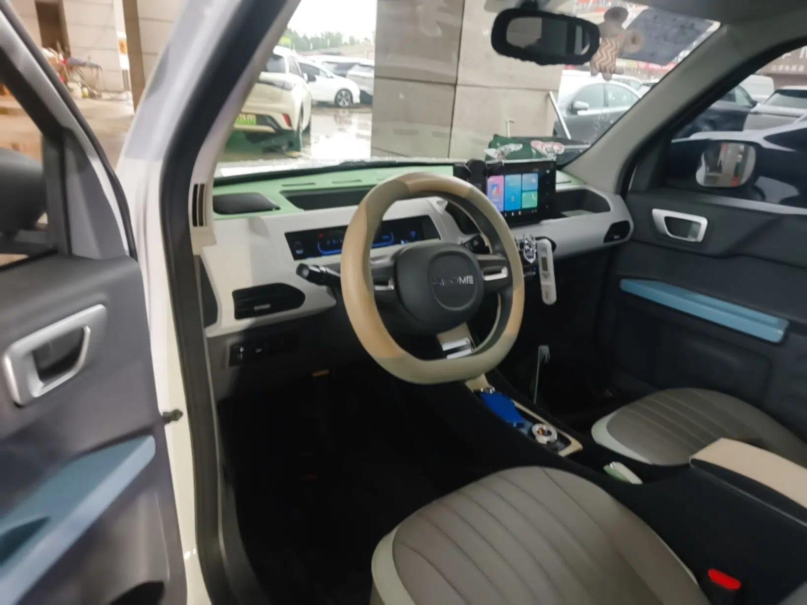 Geely Galaxy Panda 2024 Panda Mini 200km Endurance Bear — миниатюра 12