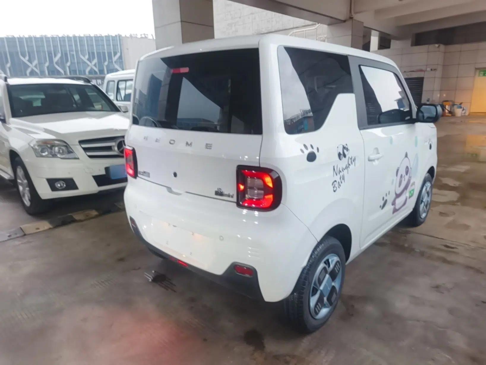 Geely Galaxy Panda 2024 Panda Mini 200km Endurance Bear — миниатюра 6