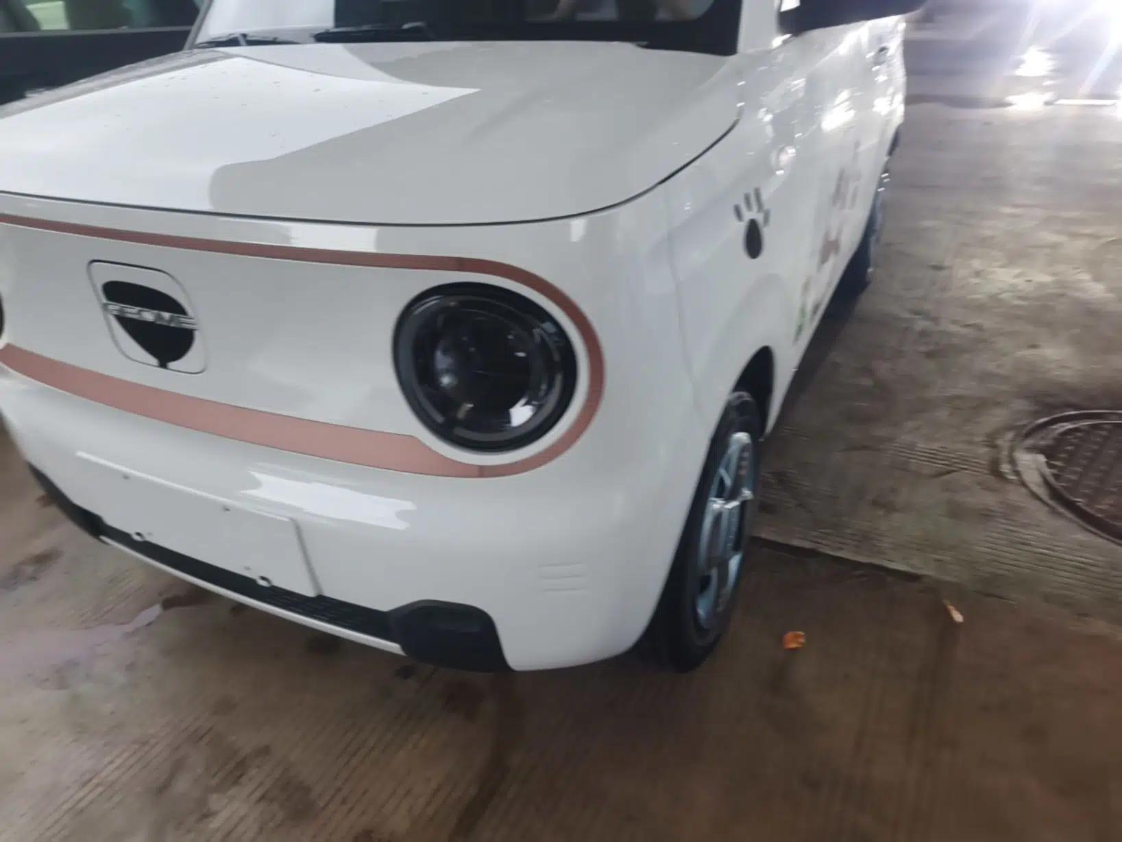 Geely Galaxy Panda 2024 Panda Mini 200km Endurance Bear — миниатюра 8