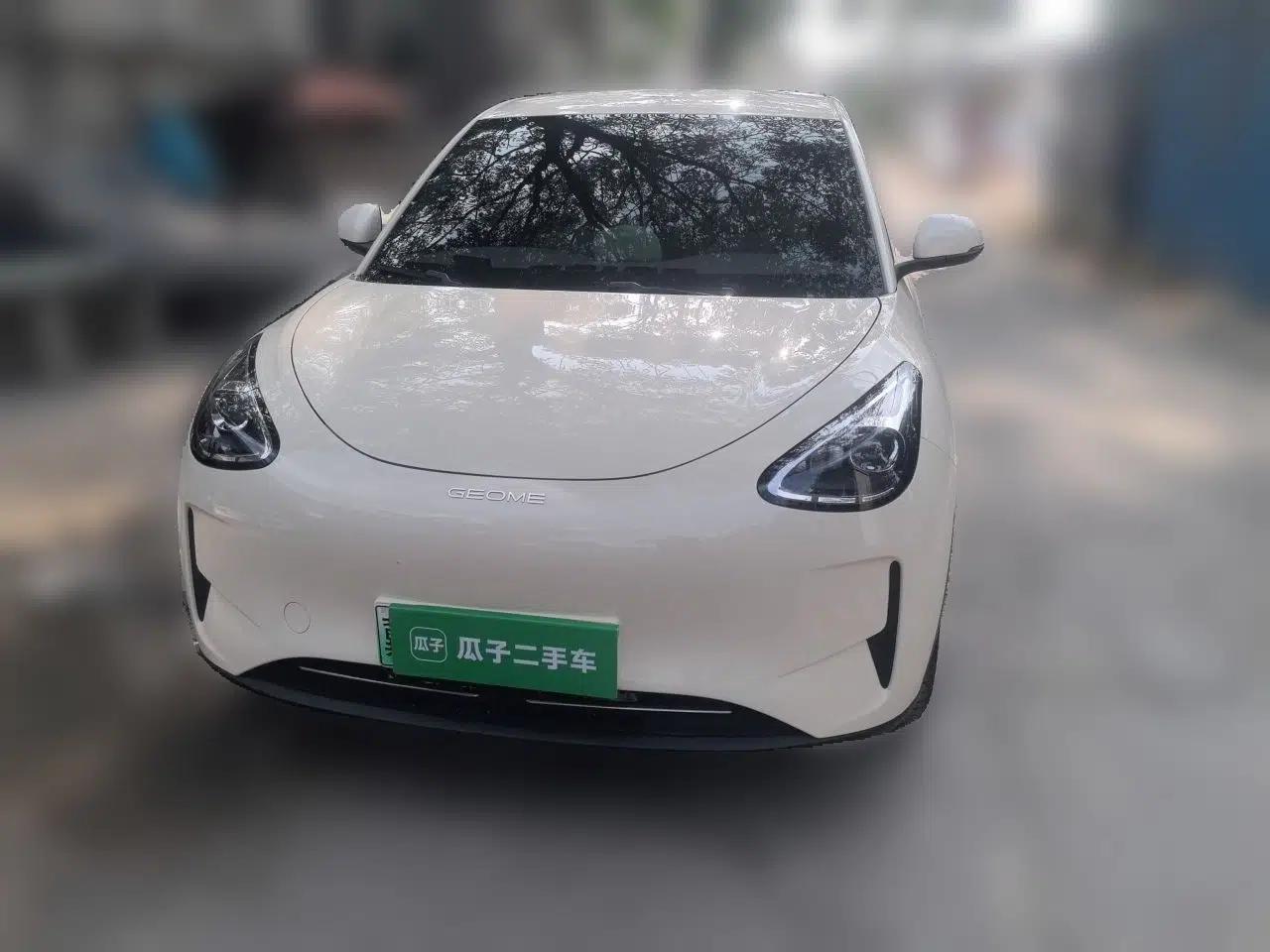 Geely Galaxy Geome 2025 310km Youth Edition — миниатюра 2