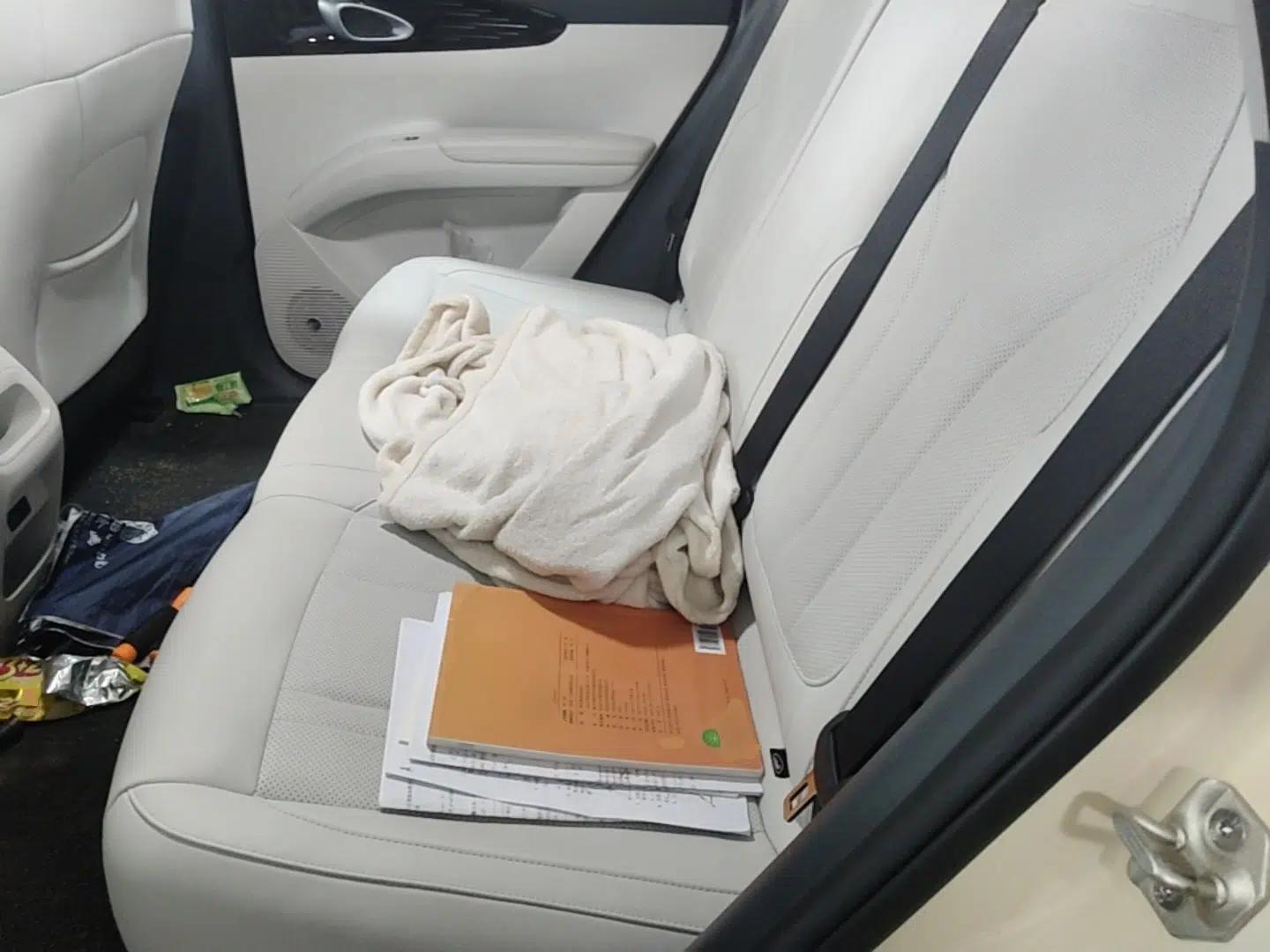 Geely Galaxy Geome 2025 310km Dream Edition — миниатюра 20