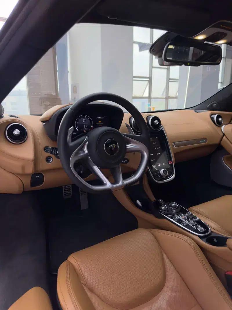 2022 McLaren GT 4.0T Automatic Rear-Wheel Drive 2-Seat Factory Custom Edition — миниатюра 19