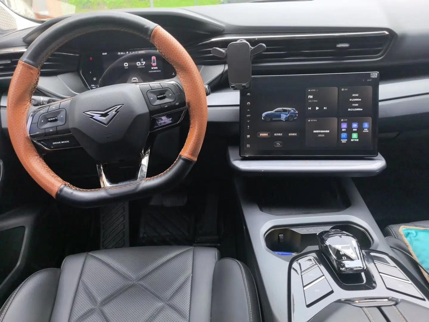 Cowin Kunlun 2023 Kunlun 300 Plateau Edition — миниатюра 9