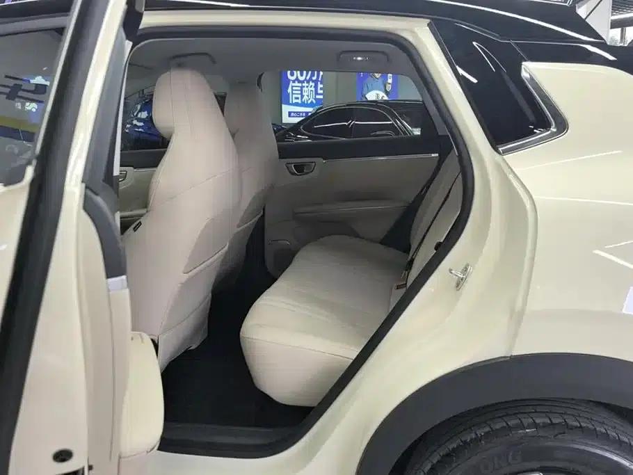 Bingo S 2025 Flagship Model 325km — миниатюра 11