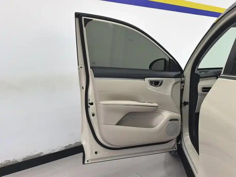 Bingo S 2025 Flagship Model 325km — миниатюра 7