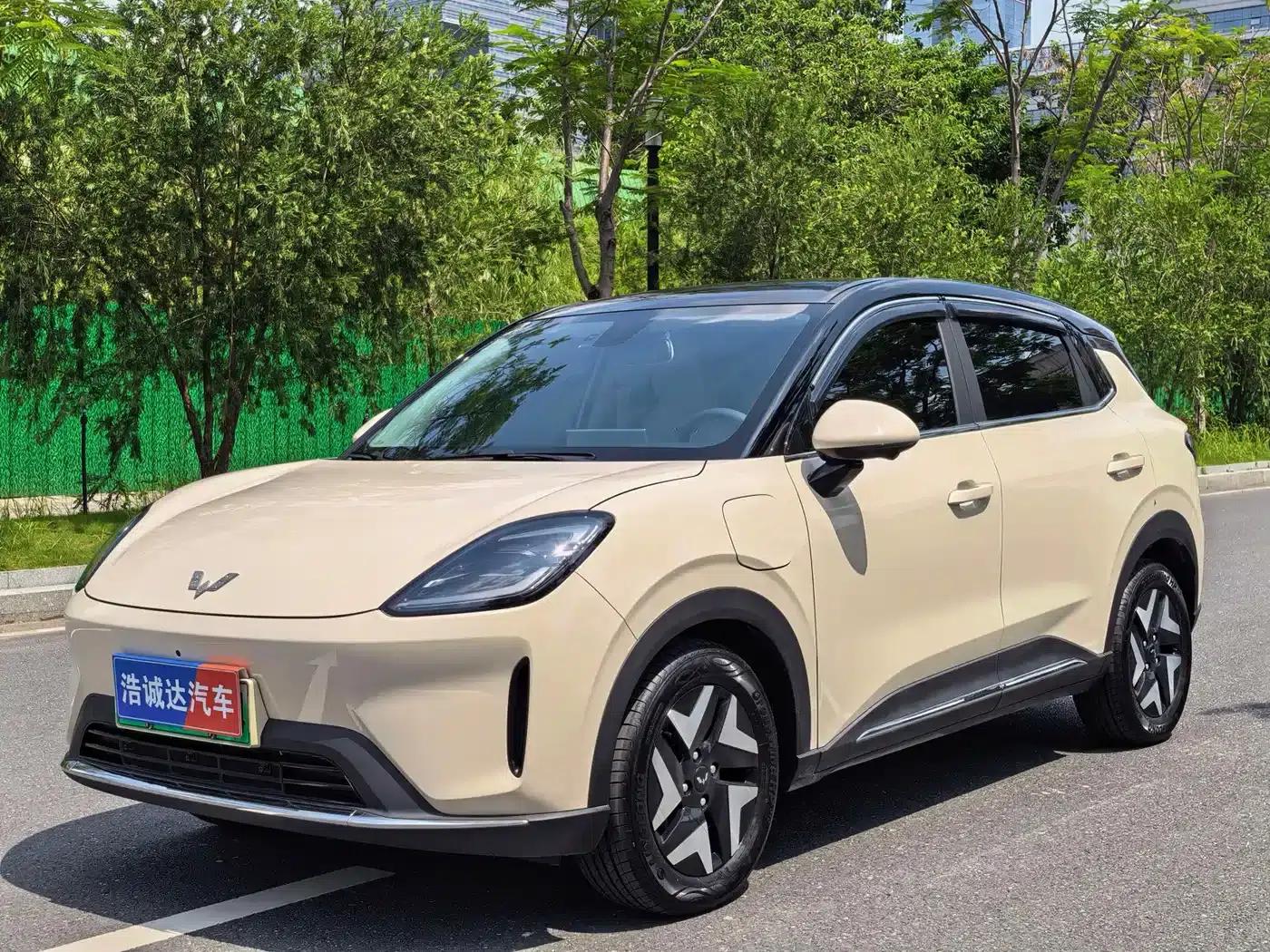 Bingo S 2025 Flagship Model 325km — миниатюра 1