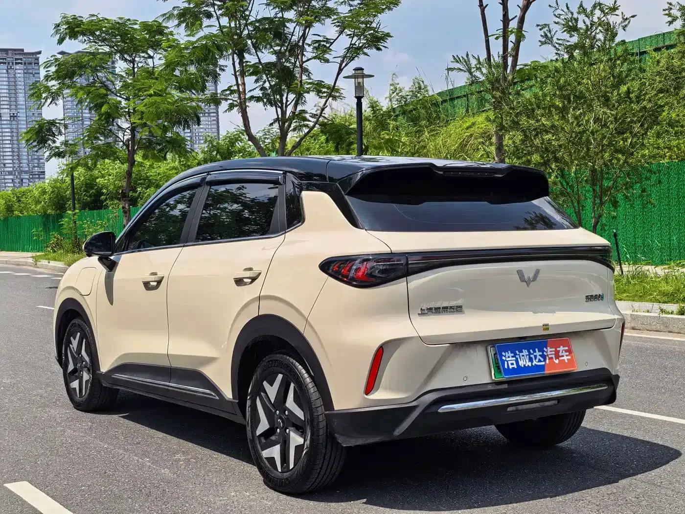 Bingo S 2025 Flagship Model 325km — миниатюра 18