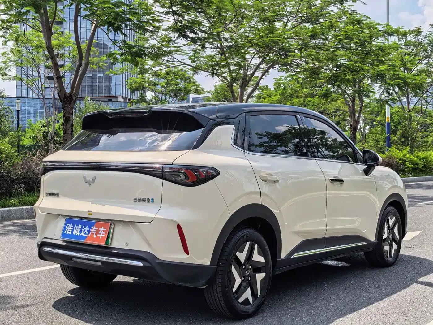 Bingo S 2025 Flagship Model 325km — миниатюра 20