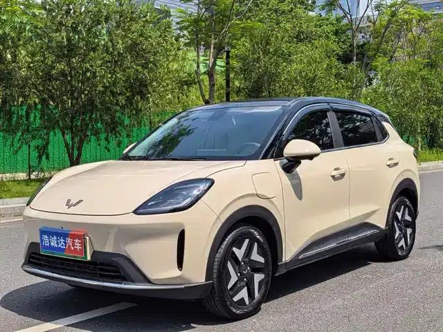 Bingo S 2025 Flagship Model 325km