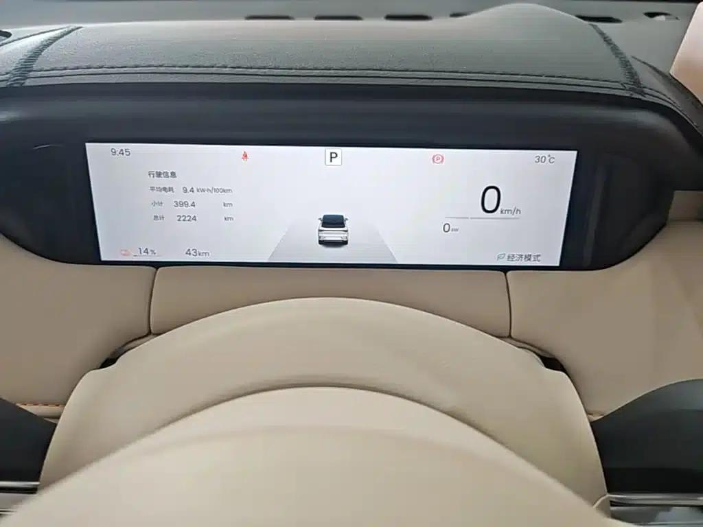 Bingo S 2025 Flagship Model 325km — миниатюра 12